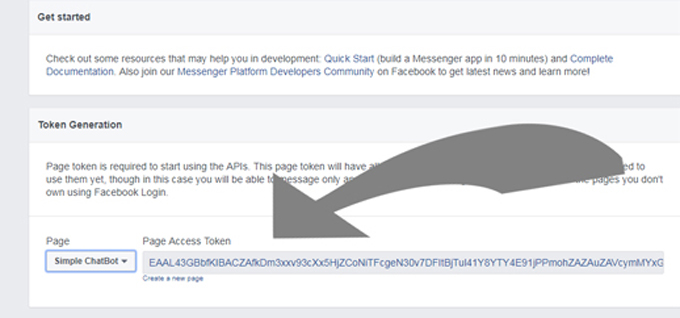 9. On this screen you will see your Page Access Token.
